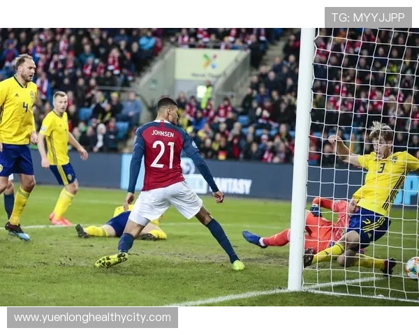 挪威队球迷称球队为北欧雄狮，近期表现稳健竞争力增强